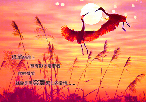 յңô յңĽ